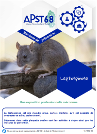 Leptospirose