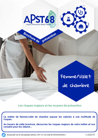Femme/Valet de chambre